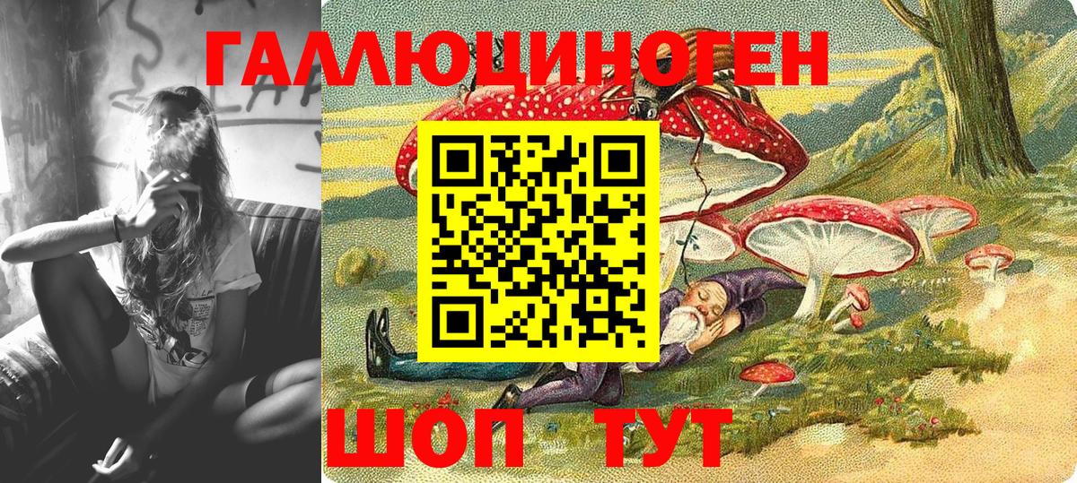 Галлюциногенные грибы Cubensis Сочи