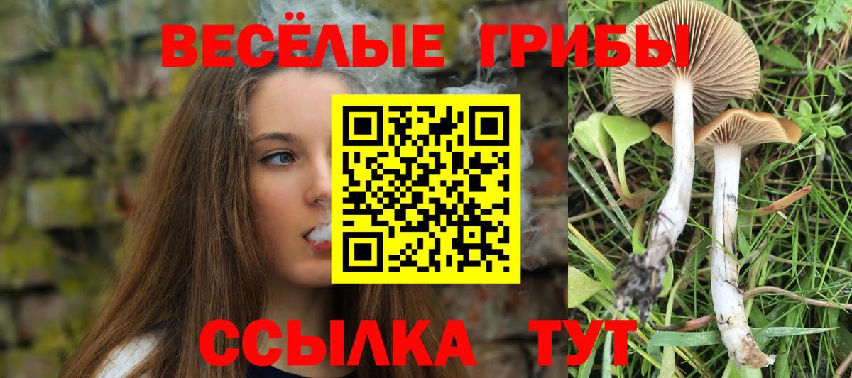 Галлюциногенные грибы мицелий  Вход с VPN  Псилоцибиновые грибы мицелий  дарнет шоп  Сочи 